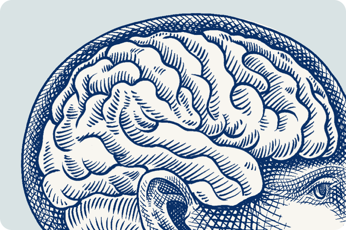 Close-up of the Austin Chiropractic scratchboard-style brain illustration