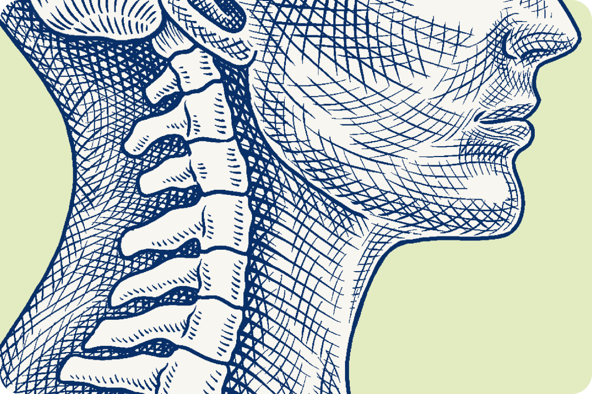 Close-up of the Austin Chiropractic scratchboard-style neck and spine illustration