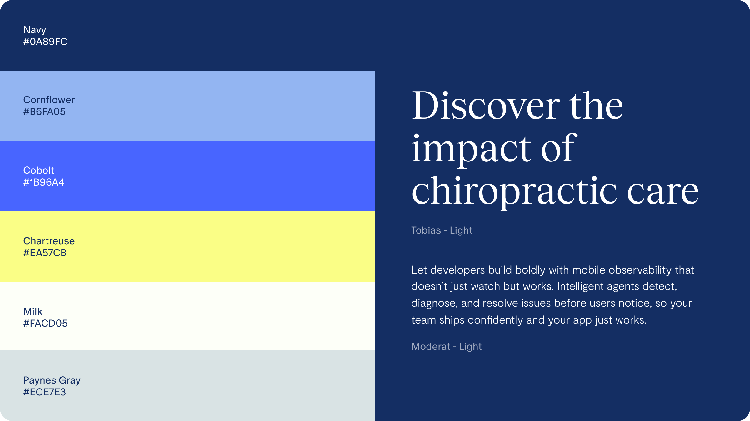 Austin Chiropractic brand color palette and typography specimen